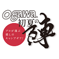 「ogawa-初夏の陣」キャンペーン<br>- キャンプのプロが選ぶ推しのキャンプギア -