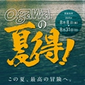 ogawaの「夏得！」